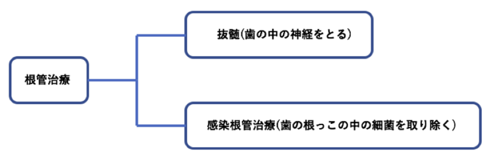 根管治療痛みのタイミング表